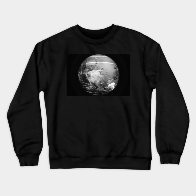 Fisheye fish Crewneck Sweatshirt by Z Snapper